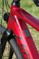 Preview: LEADER FOX Runner 28 Zoll Gravel E-Bike (FAZUA) Rot