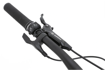 Apache EAGLE 1 (Avinox M2S-800Wh) 29 Zoll E-MTB Fully