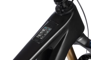 Preview: Whistle AXR C10.6 (Avinox M2S-800Wh) 29 Zoll E-MTB Fully